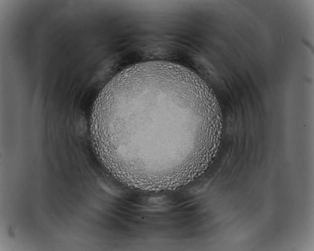 X0000098100173200804251413