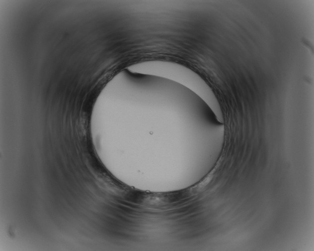 X0000098100174200804251413