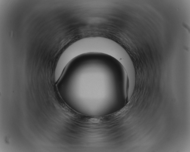 X0000098100176200804251413