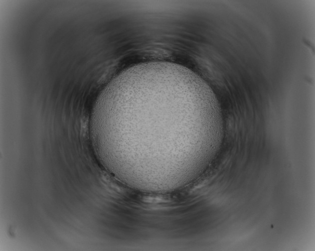 X0000098100177200804251413