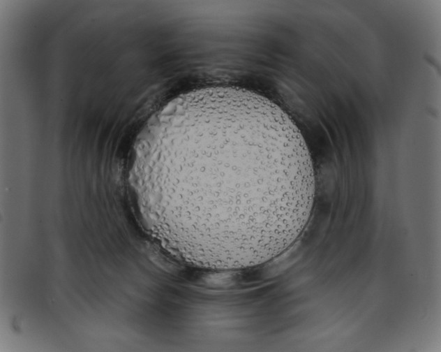 X0000098100178200804251413