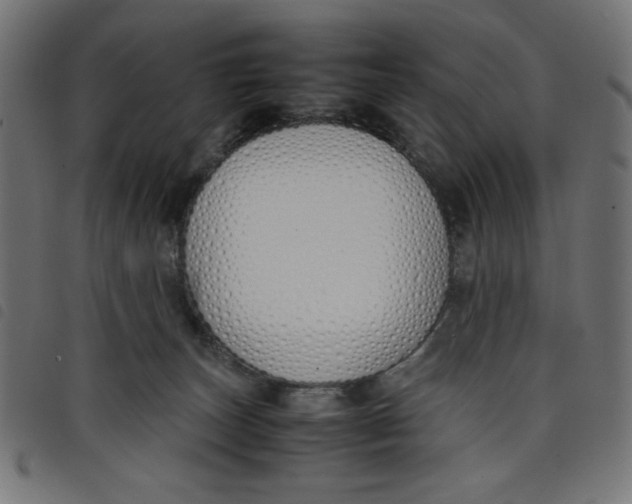 X0000098100179200804251413