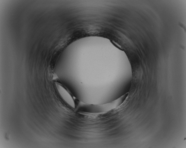 X0000098100180200804251413