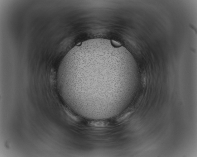 X0000098100181200804251413
