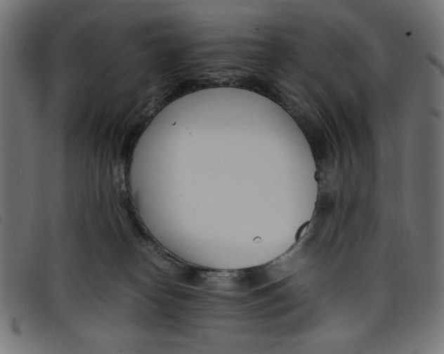 X0000098100182200804251413