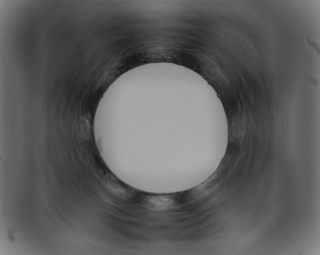 X0000098100183200804251413