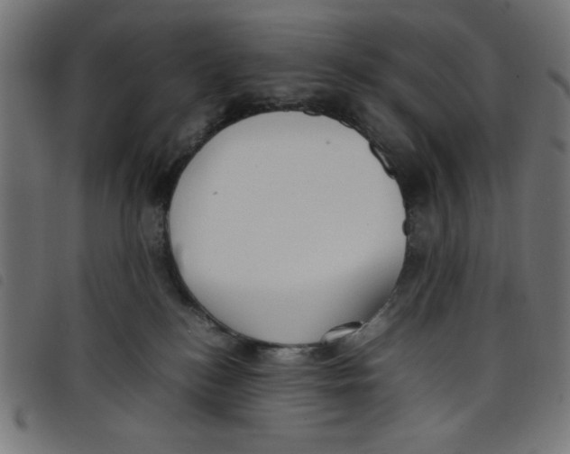 X0000098100184200804251413