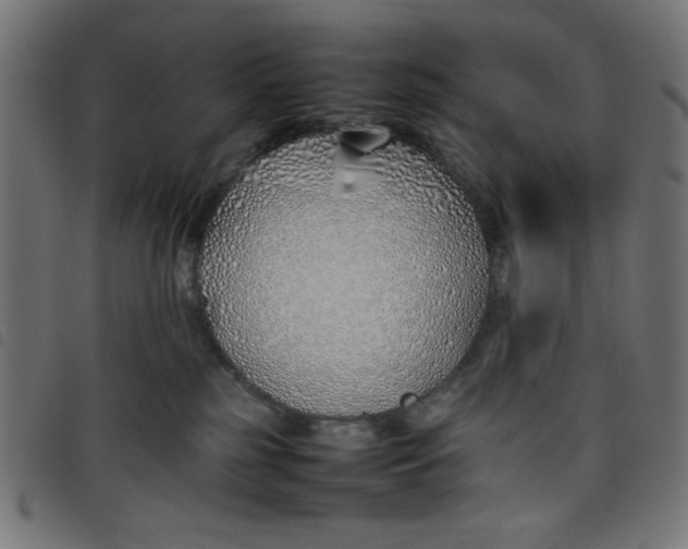X0000098100185200804251413
