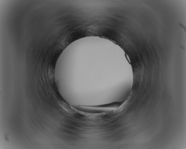 X0000098100186200804251413