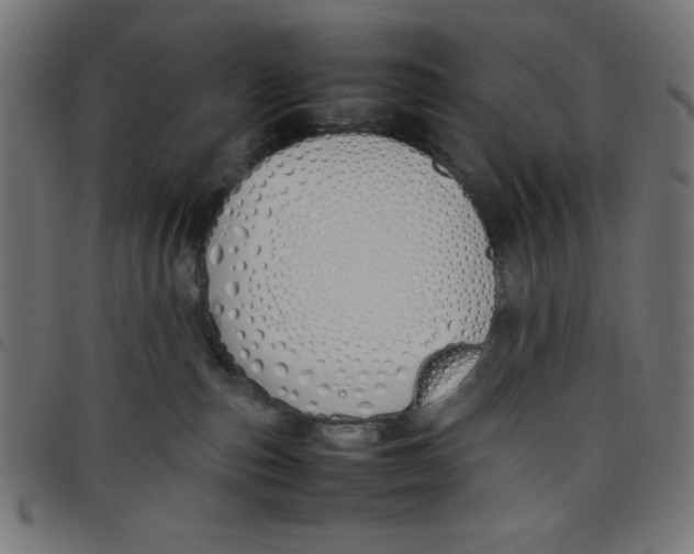 X0000098100187200804251413