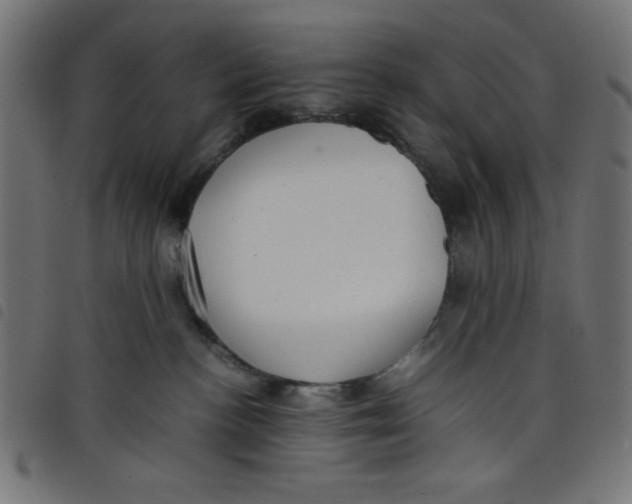 X0000098100188200804251413