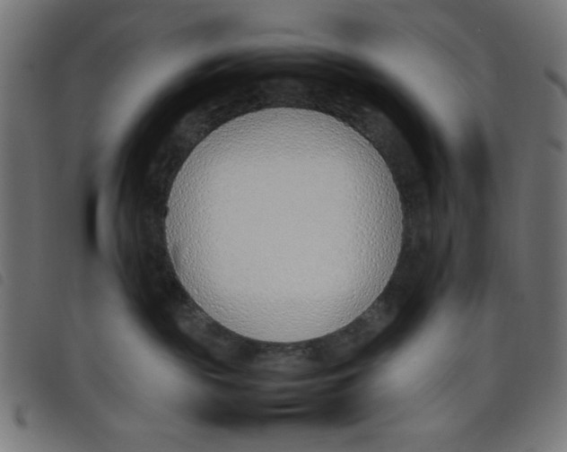 X0000098100189200804251413