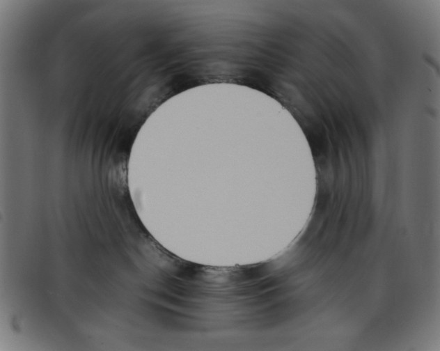 X0000098100190200804251413