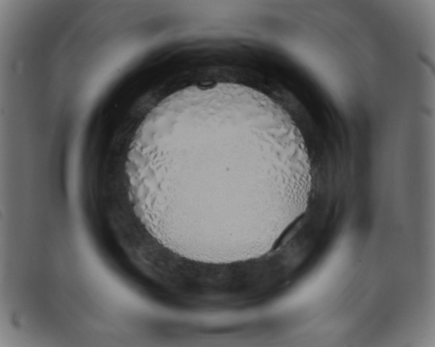 X0000098100191200804251413