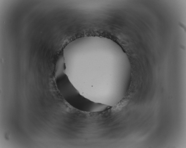 X0000098100192200804251413