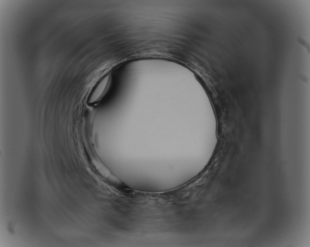 X0000098100193200804251412