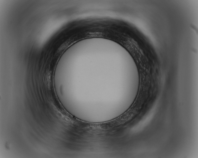 X0000098100194200804251412
