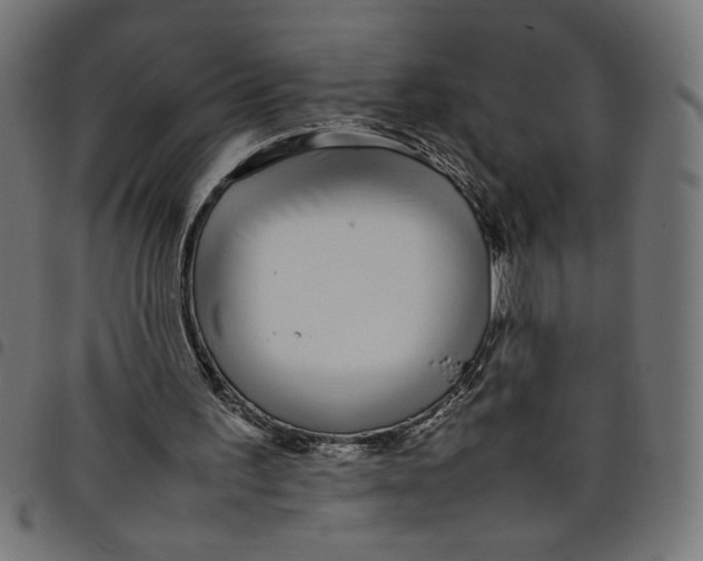 X0000098100195200804251412