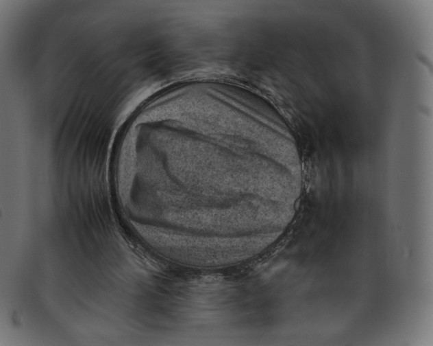 X0000098100196200804251412