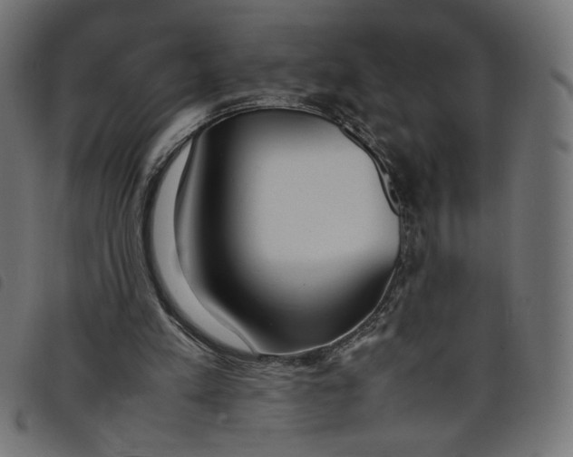 X0000098100197200804251412