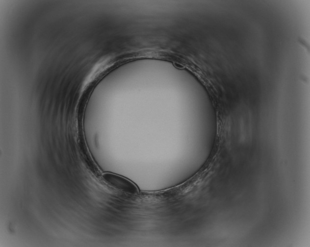 X0000098100198200804251412