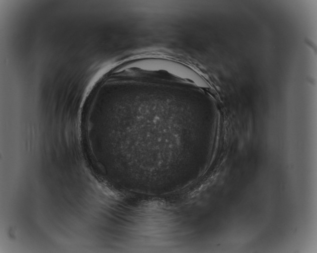 X0000098100200200804251412