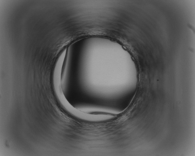X0000098100201200804251412