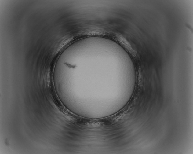 X0000098100202200804251412