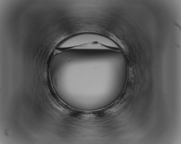 X0000098100203200804251412