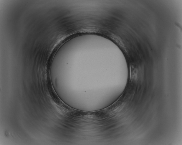 X0000098100204200804251412