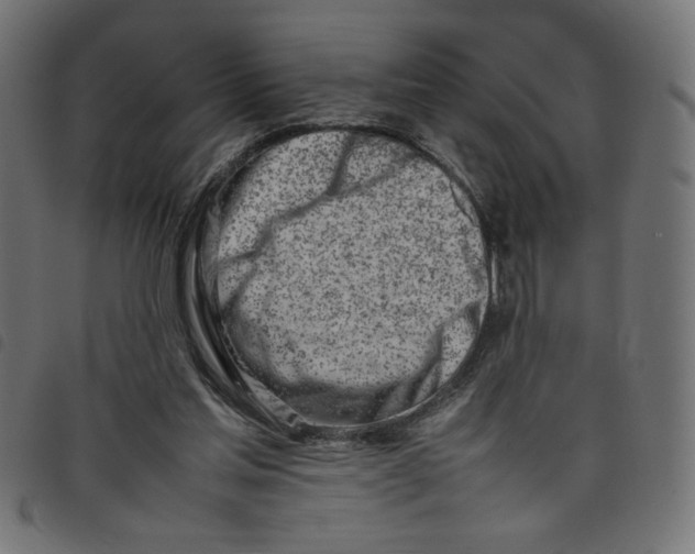 X0000098100205200804251412