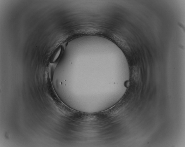 X0000098100206200804251412
