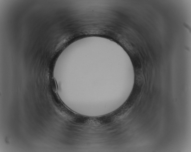 X0000098100207200804251412