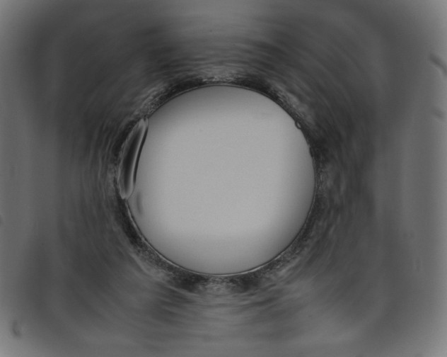 X0000098100209200804251412