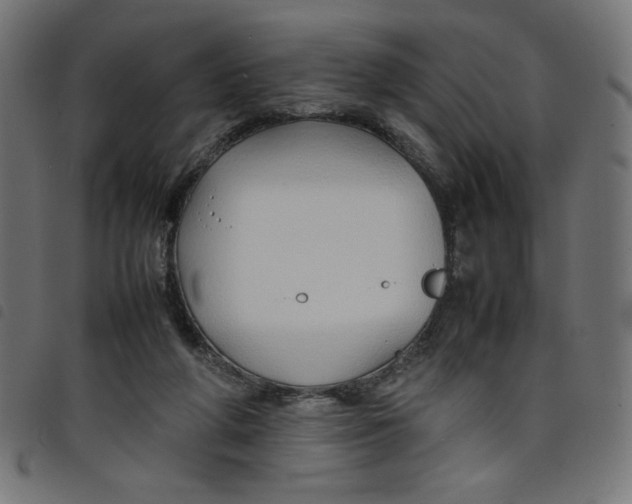 X0000098100210200804251412