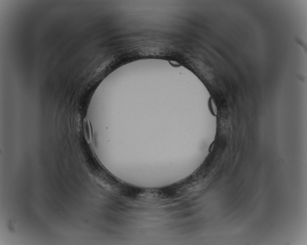 X0000098100211200804251412