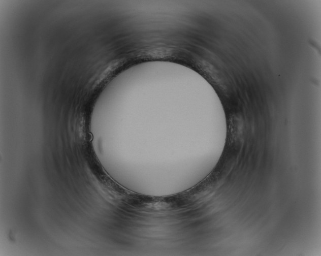X0000098100212200804251412