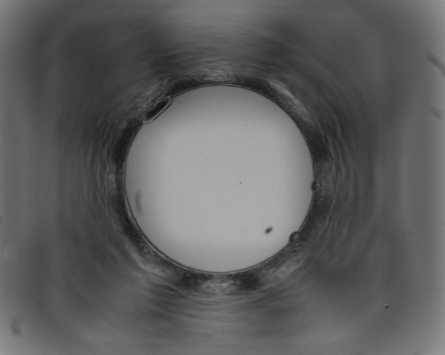 X0000098100213200804251412