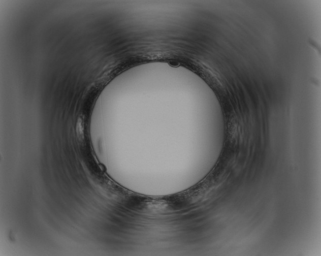 X0000098100214200804251412