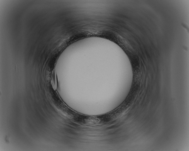 X0000098100215200804251412