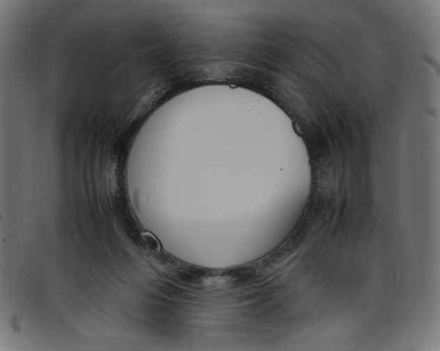 X0000098100216200804251412