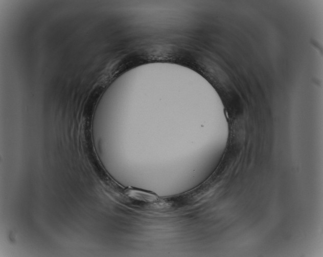 X0000098100217200804251412