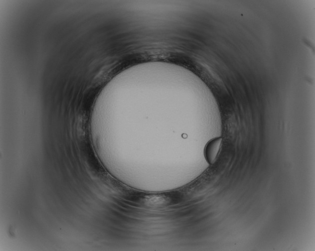 X0000098100218200804251412