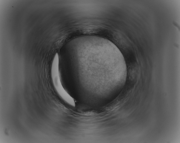 X0000098100219200804251412