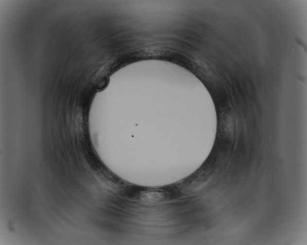 X0000098100220200804251412