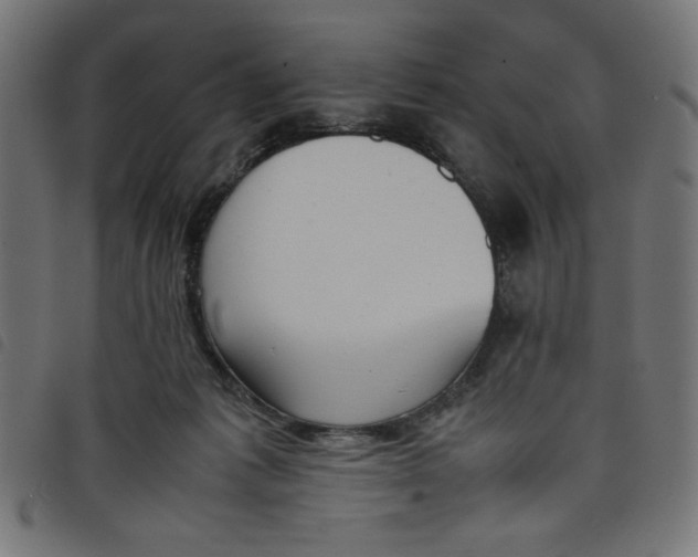 X0000098100221200804251412