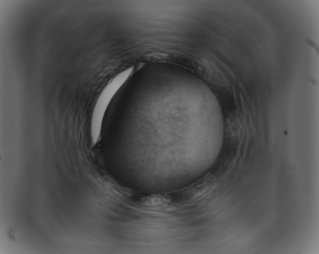 X0000098100223200804251412