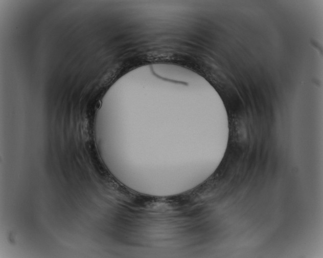 X0000098100224200804251412