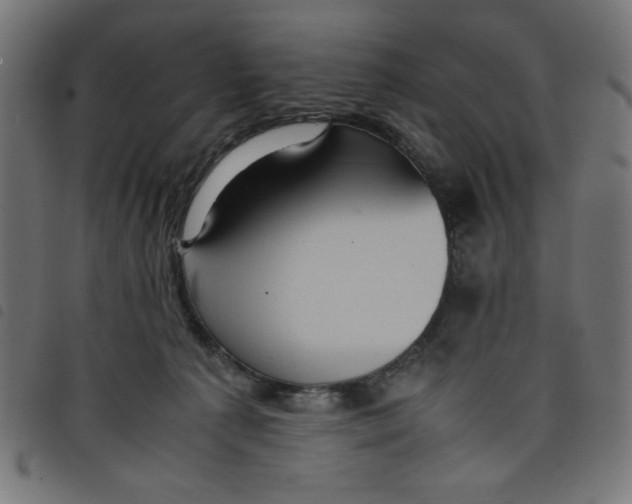 X0000098100225200804251412