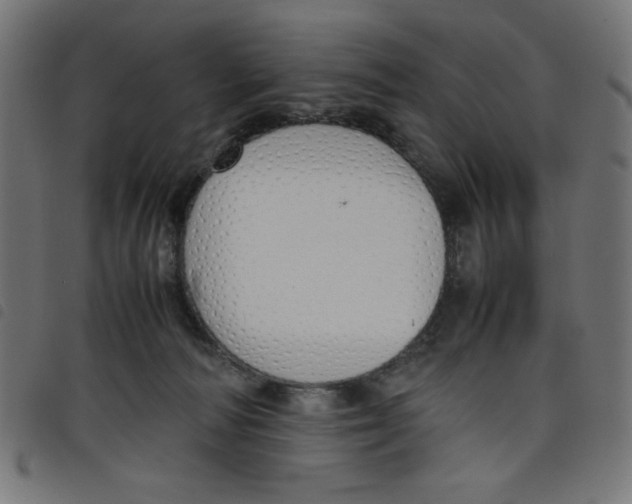 X0000098100226200804251412